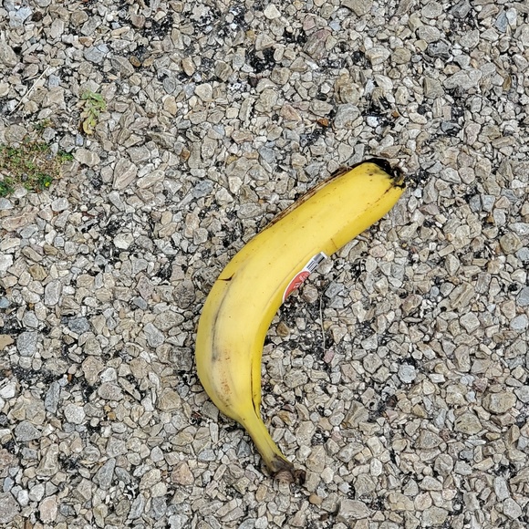 Meet your Posher, Anna - Picture 1 of 1